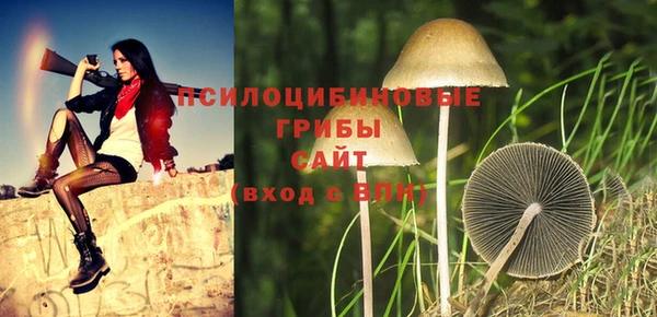 МДПВ Рославль