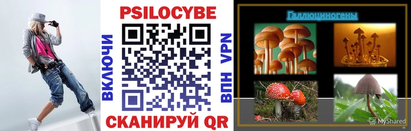 ссылка на мегу маркетплейс  Тихвин  Галлюциногенные грибы Psilocybine cubensis 
