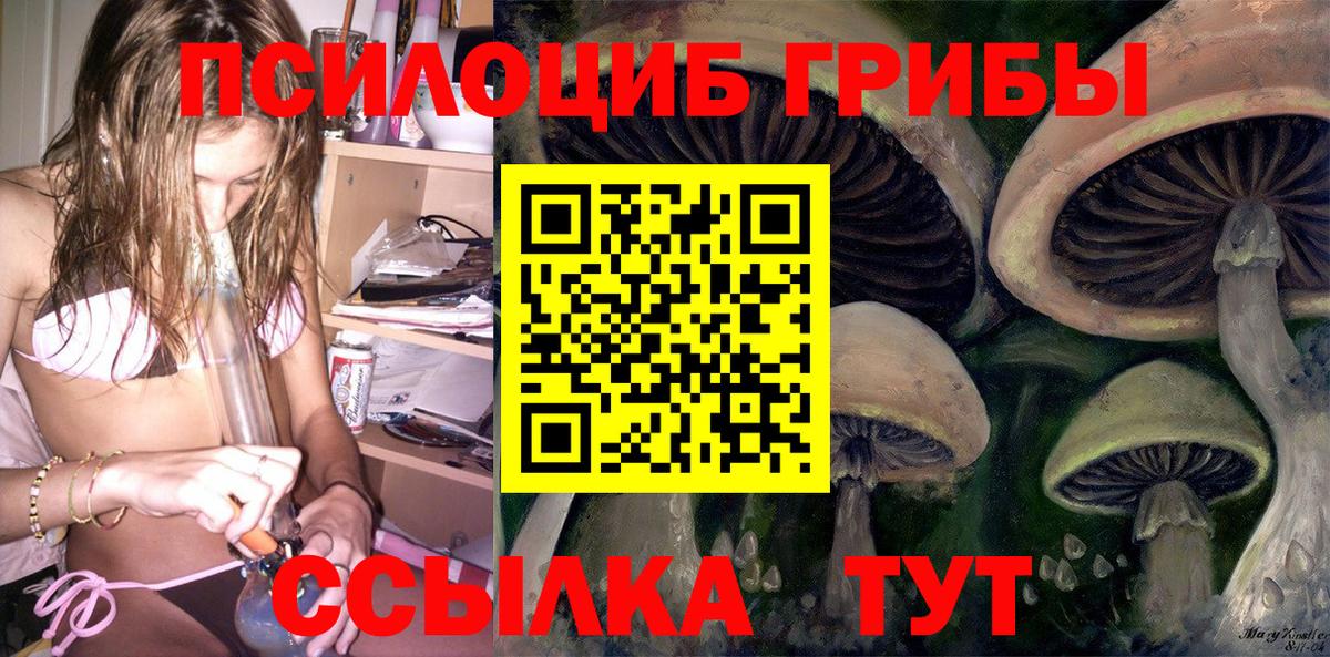 Псилоцибиновые грибы мицелий  Вход с VPN  Галлюциногенные грибы Psilocybine cubensis  Тихвин 